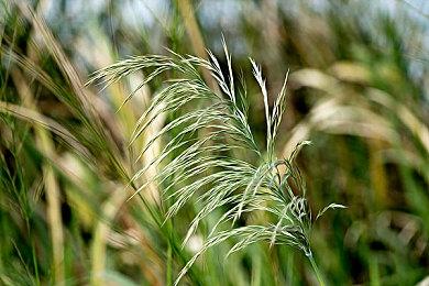 卡牌对战游戏《电影剧本 CCG》 现已在Steam平台免费推出抢先体验版